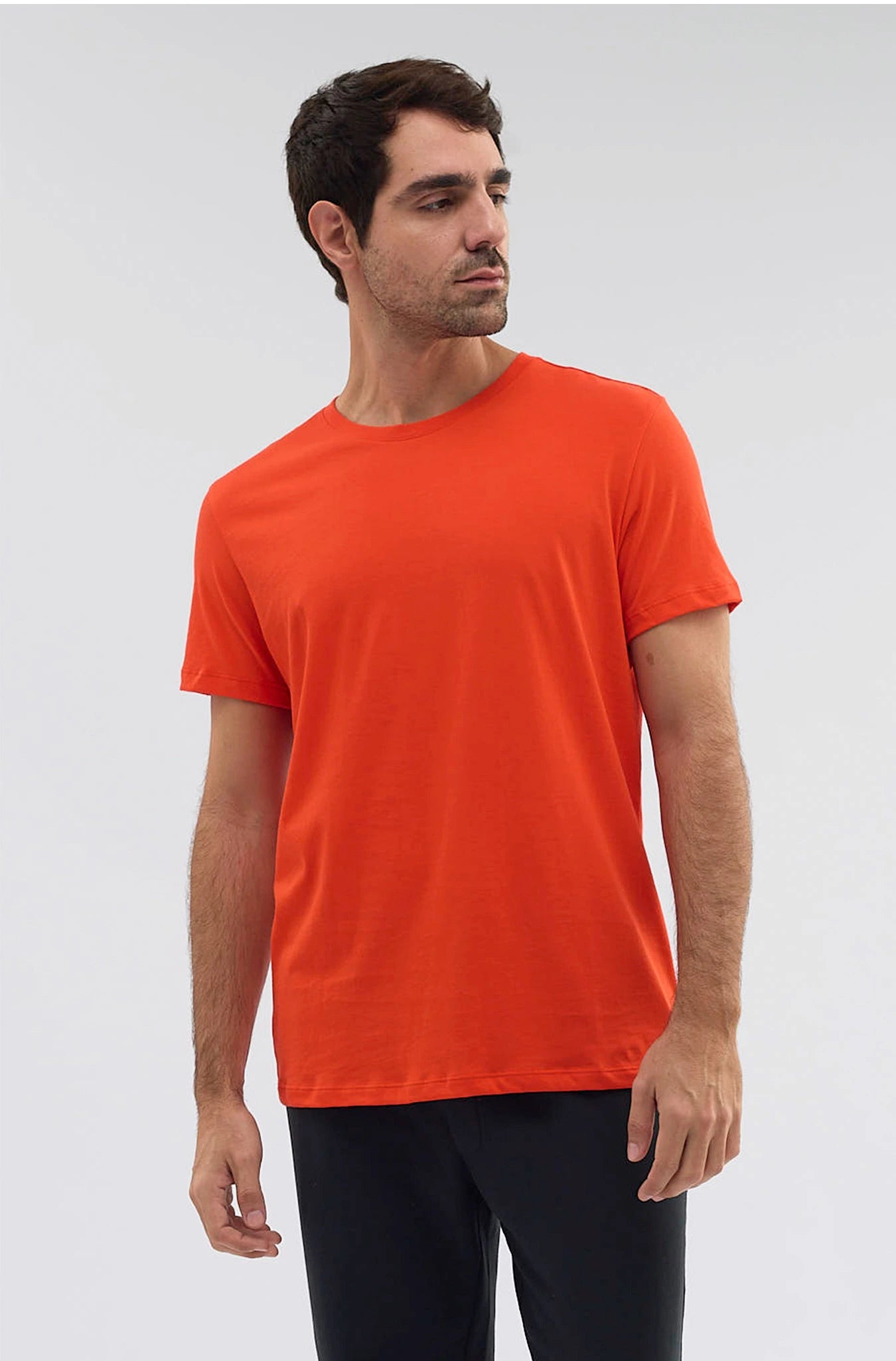 The Everyday T Shirt